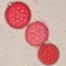 This plant is a member of the Chenopodiaceae pollen type group. This chenopod pollen grain photo represents all members of this group.